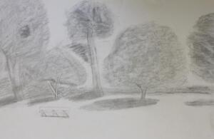 Angela W Landscape Value Drawing