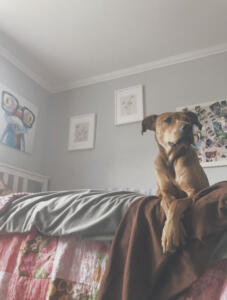 Ashley A Photography (1)