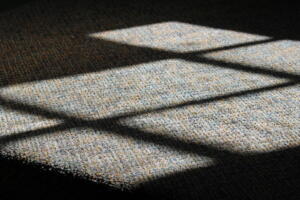 James G Shadows on the Floor