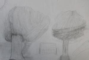 Jaylen D Landscape Value Drawing
