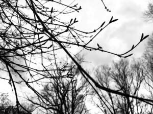 Jeremy F Photography 3