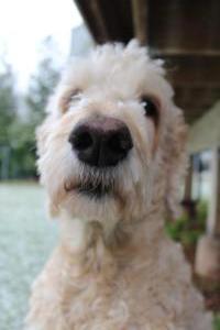 Kaitlyn A Photography (3)