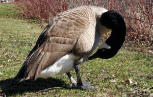 Kaitlyn A Photography (5)