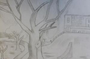 Kennedy G Landscape Value Drawing