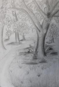 Kirsten L Landscape Value Drawing