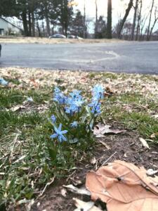 Kirsten L Photography 2